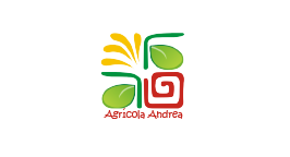 Agricola Andrea