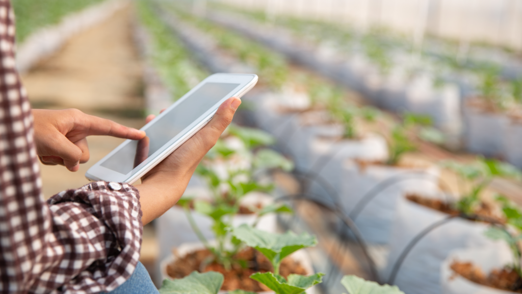 Agrodata es la solución integral agroindustrial que digitaliza tus procesos desde la cosecha hasta la post cosecha.